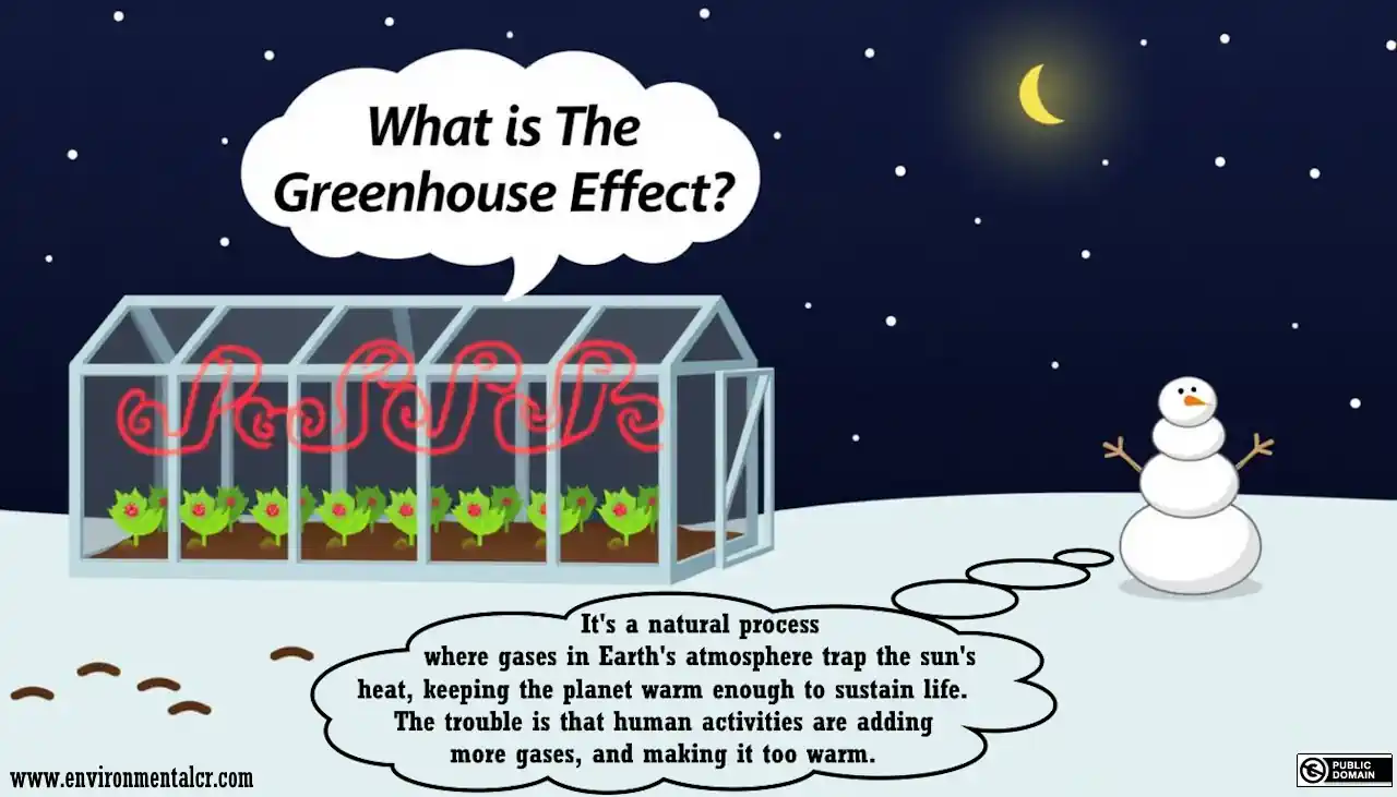 What is the Greenhouse Effect - cartoon image