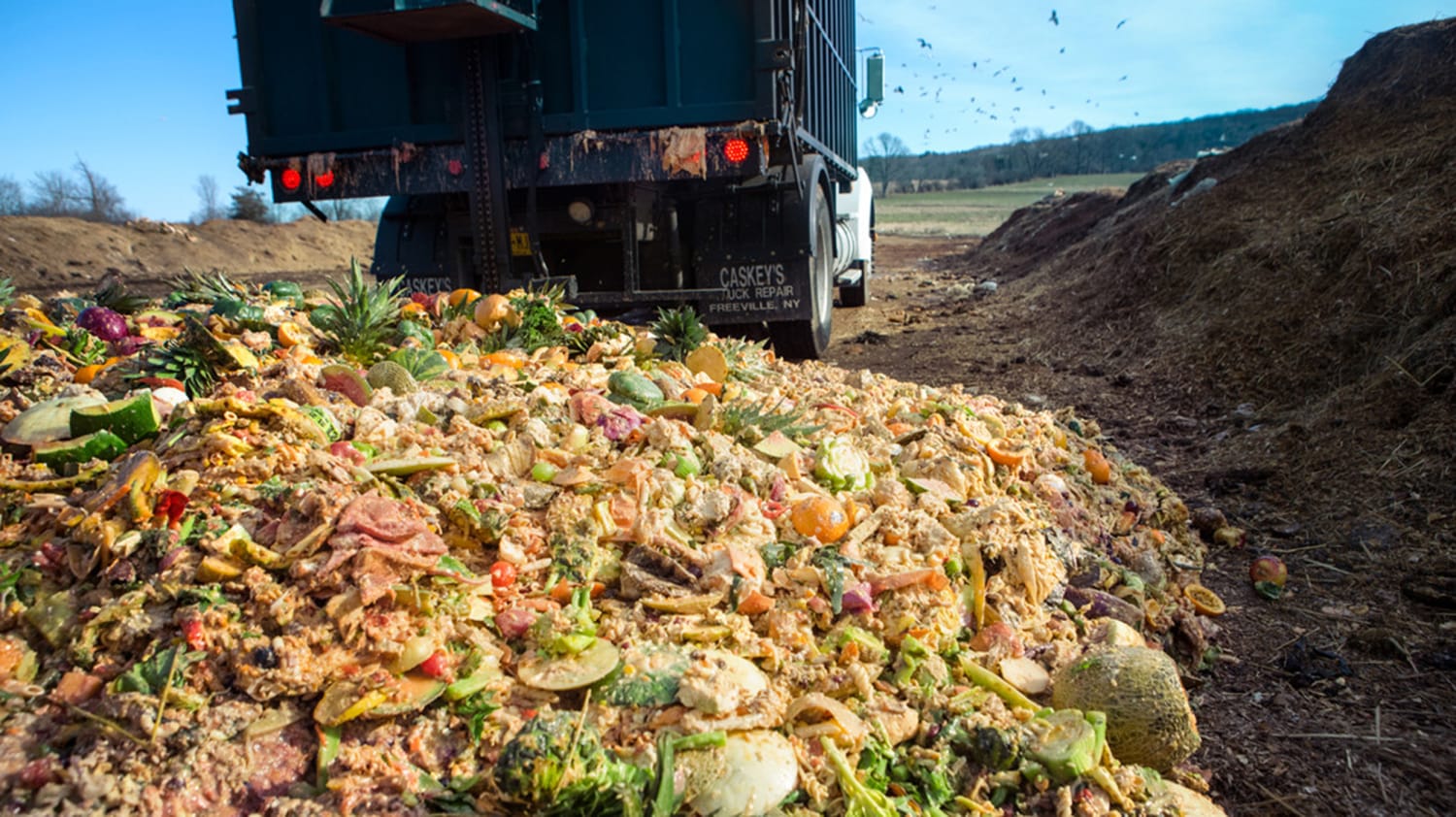 Landfill tipping of inedible food, as shown here, is the last thing to do when Optimizing Food Waste. Landfill tipping of inedible food, as shown here, is the last thing to do when Optimizing Food Waste.
