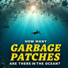 Featured image with text - How many garbage patches are there in te ocean