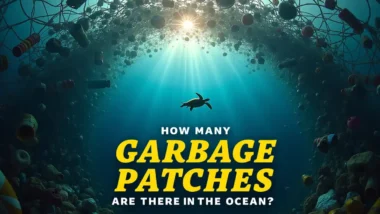 Featured image with text - How many garbage patches are there in te ocean