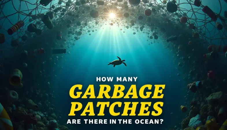 Featured image with text - How many garbage patches are there in te ocean